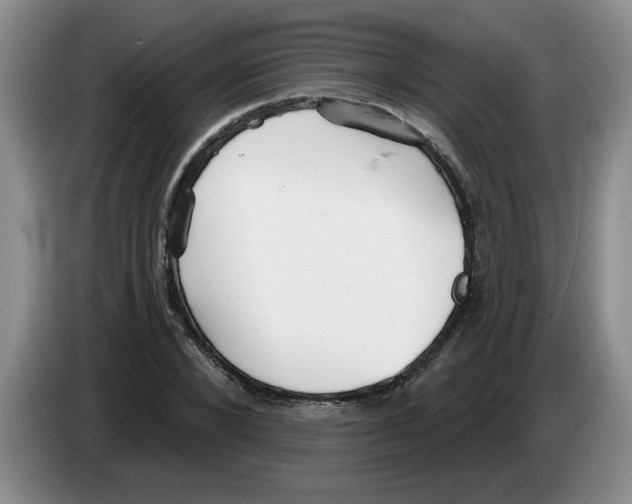 X0000083550880200703091552