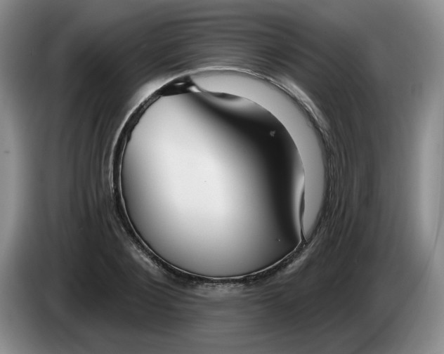X0000083550884200703091552