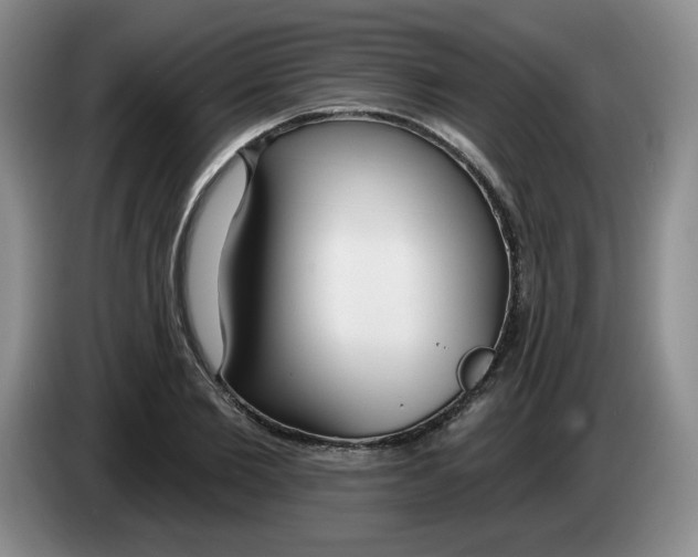 X0000083550885200703091552