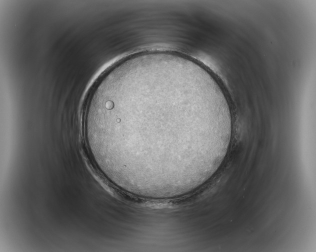 X0000083550886200703091552