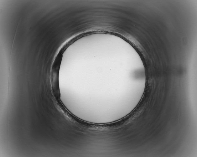 X0000083550888200703091552
