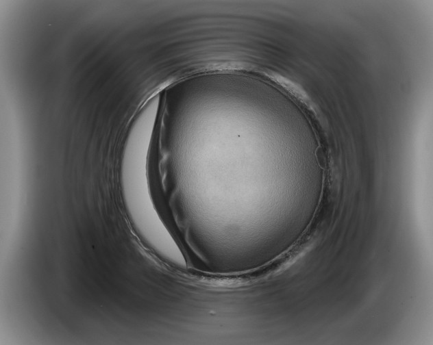 X0000083550889200703091552
