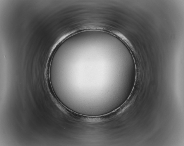 X0000083550893200703091552