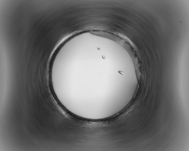 X0000083550894200703091552