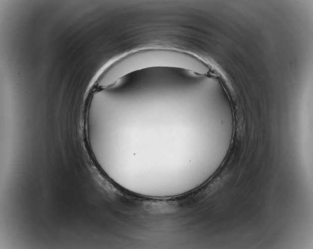 X0000083550896200703091551