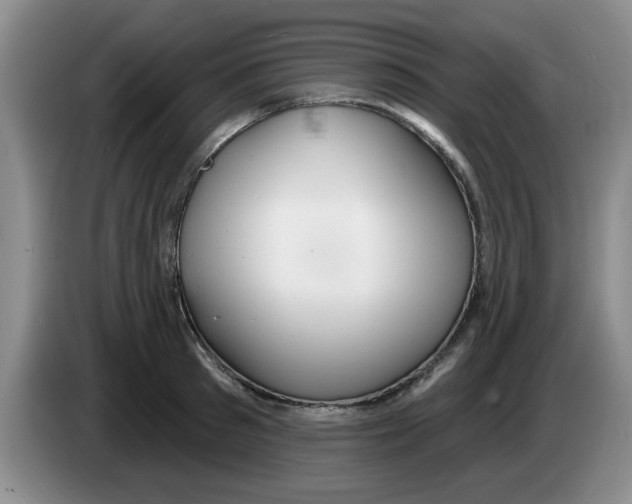X0000083550897200703091551