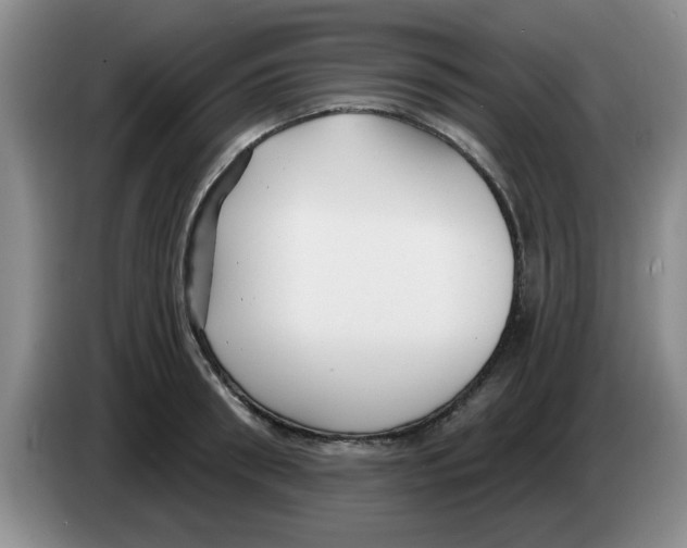 X0000083550898200703091551