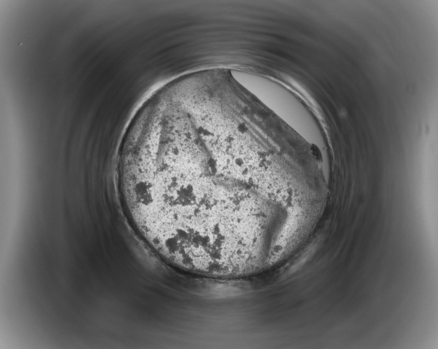 X0000083550899200703091551