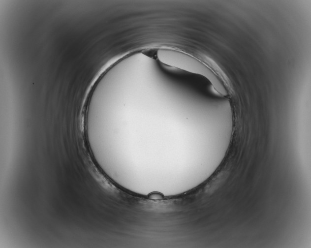 X0000083550900200703091551