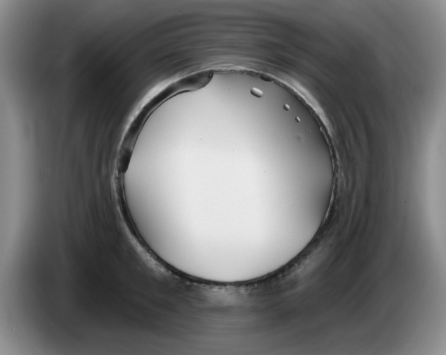 X0000083550901200703091551