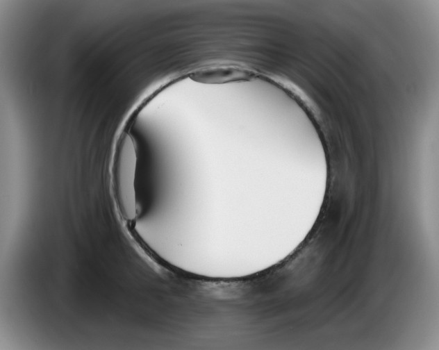 X0000083550902200703091551