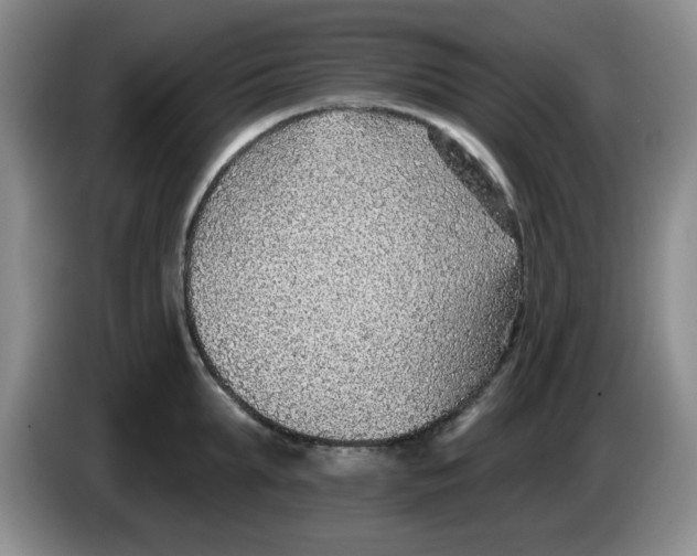 X0000083550903200703091551