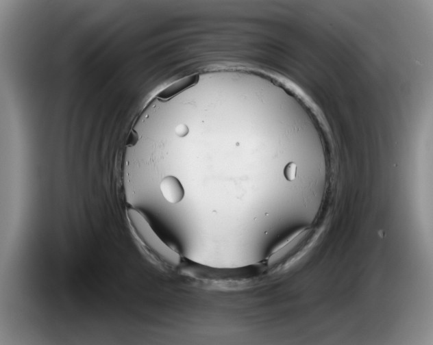 X0000083550905200703091551