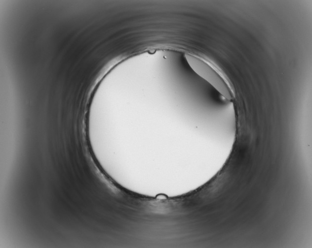 X0000083550906200703091551