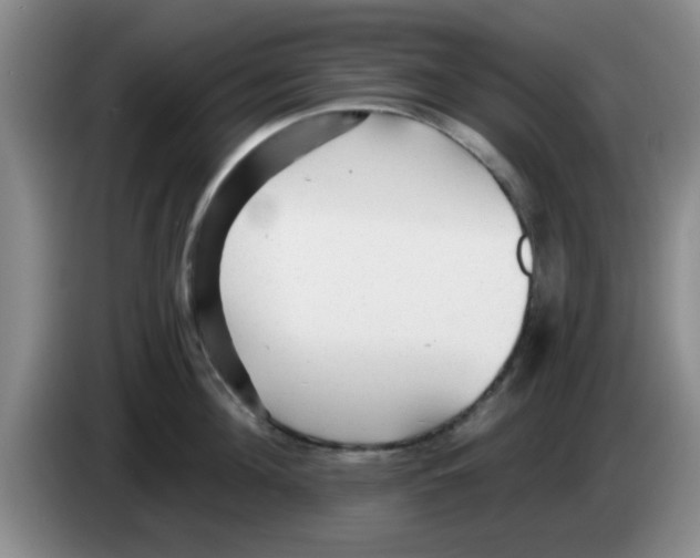 X0000083550908200703091551