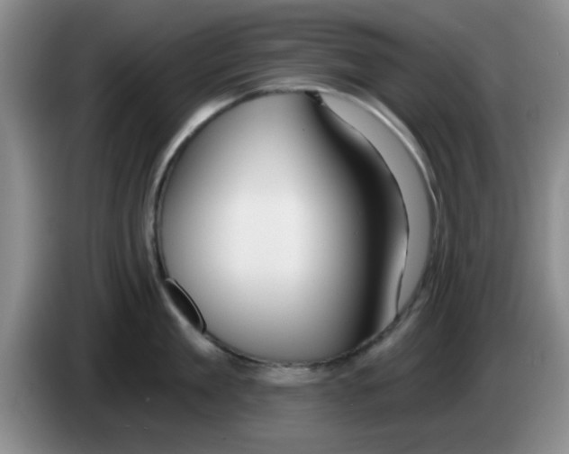 X0000083550909200703091551