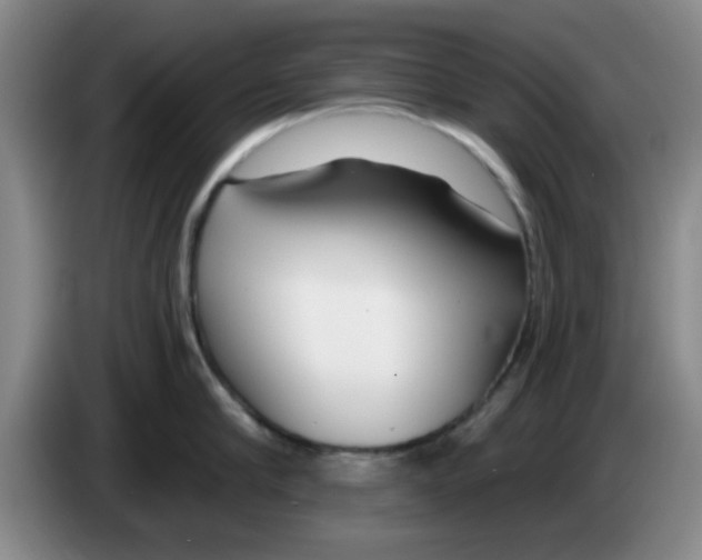 X0000083550910200703091551
