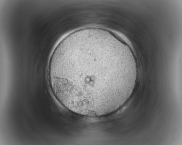 X0000083550911200703091551