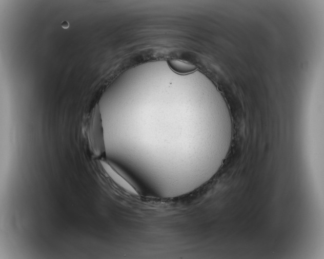 X0000083550914200703091551