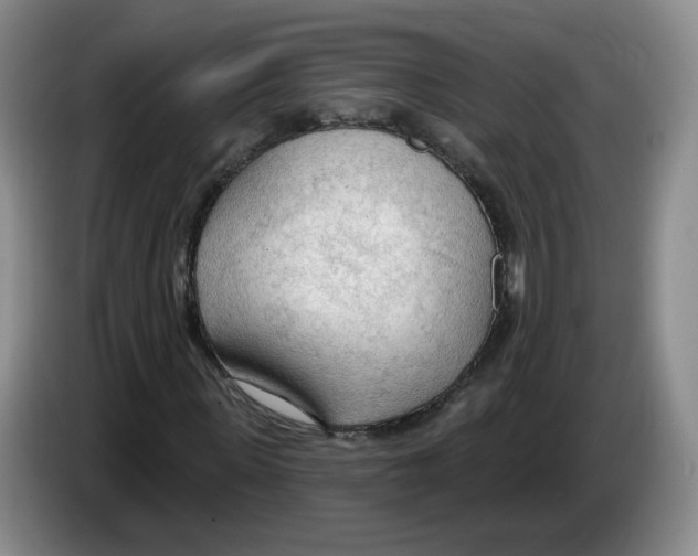 X0000083550915200703091551