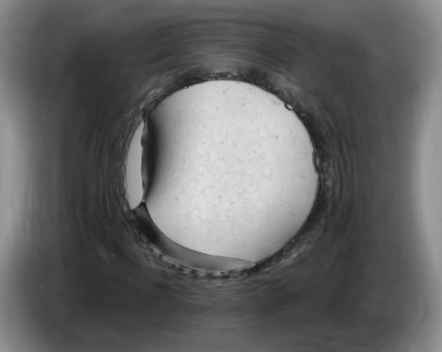 X0000083550916200703091551