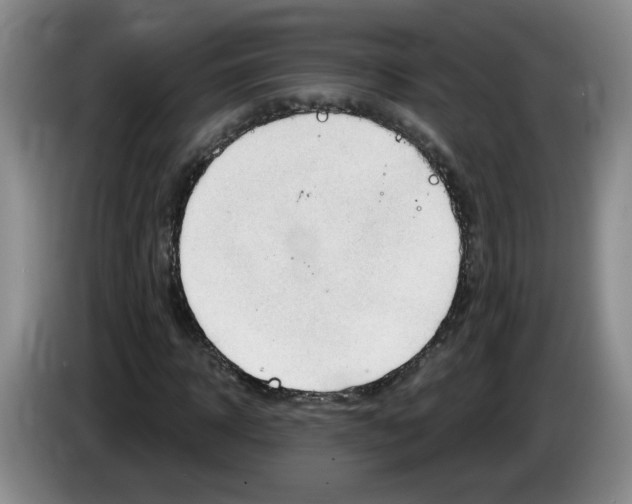 X0000083550918200703091551