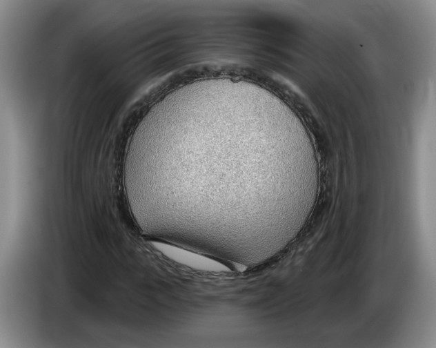 X0000083550919200703091551