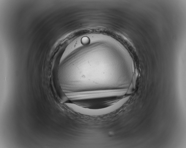 X0000083550920200703091551