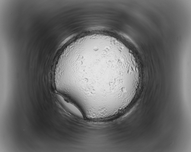 X0000083550921200703091551