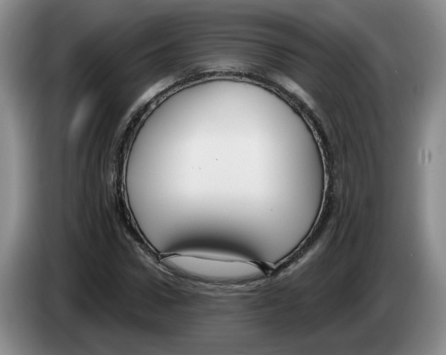 X0000083550922200703091551