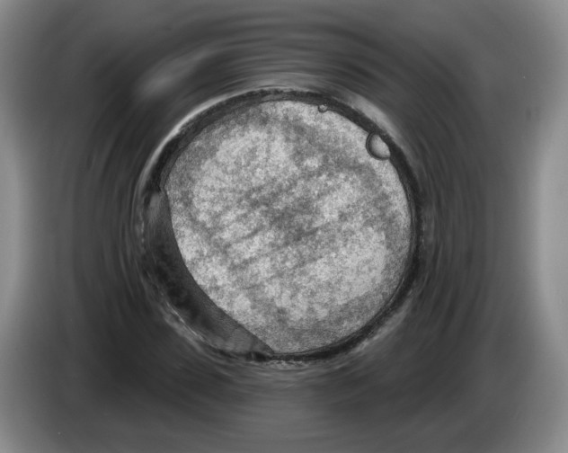 X0000083550923200703091551