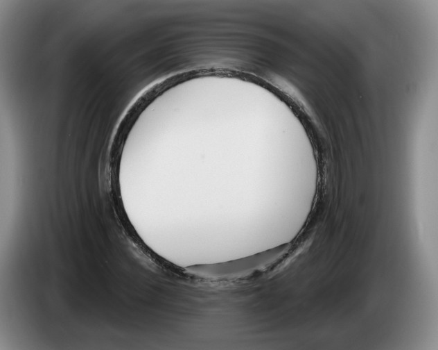 X0000083550924200703091551