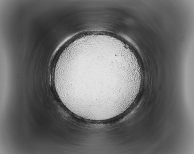 X0000083550925200703091551
