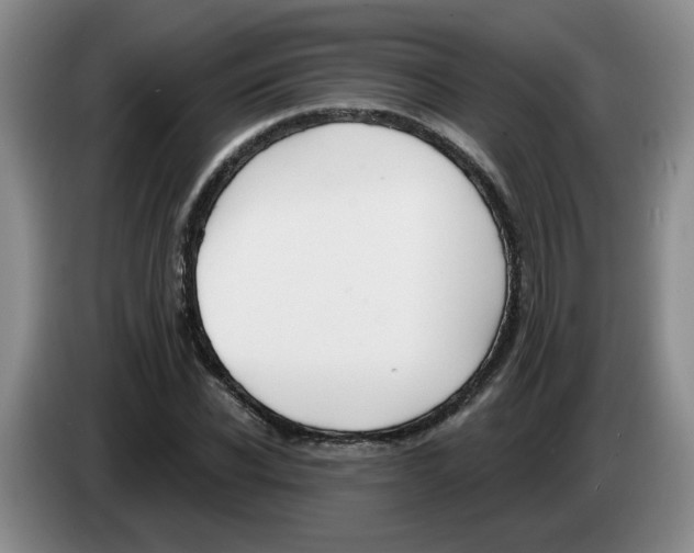 X0000083550926200703091551