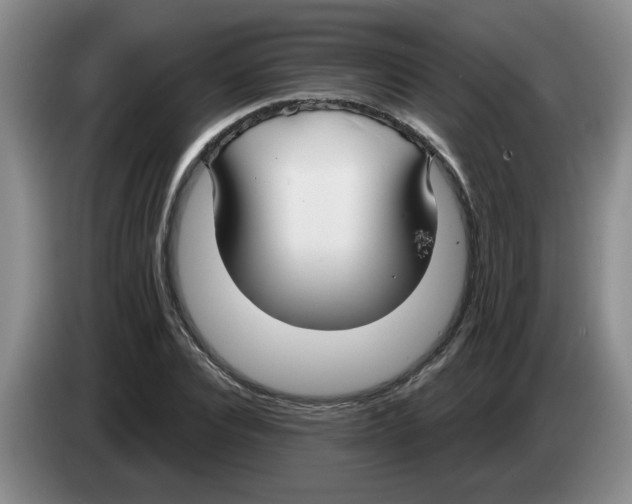 X0000083550928200703091551