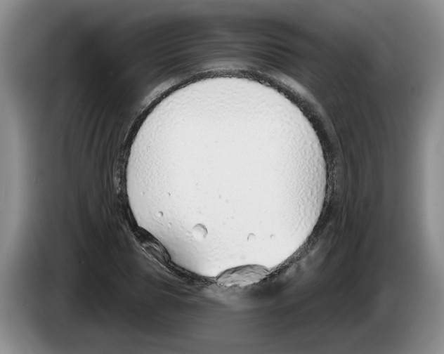 X0000083550929200703091551