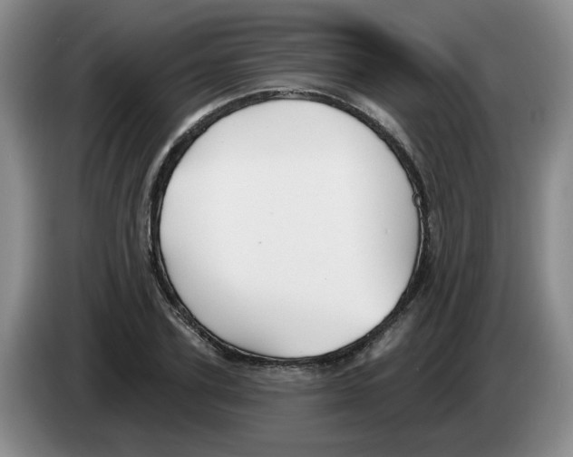 X0000083550931200703091551