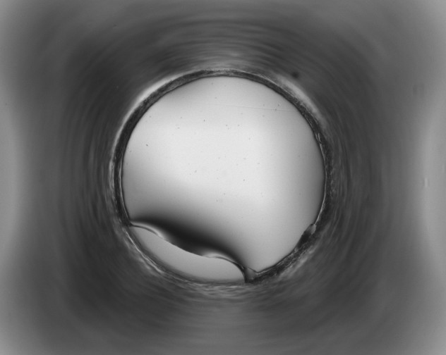 X0000083550932200703091551