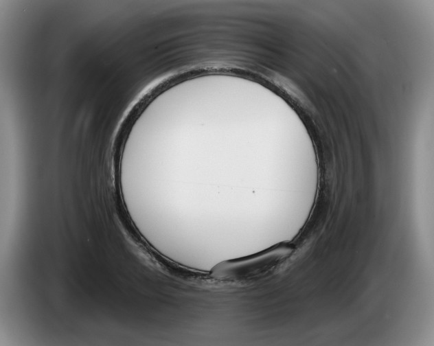 X0000083550934200703091551