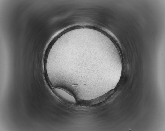 X0000083550935200703091551
