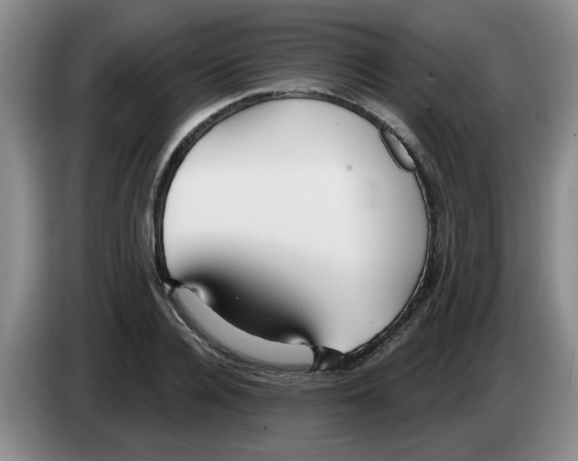 X0000083550936200703091551