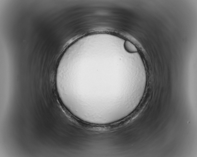 X0000083550937200703091551