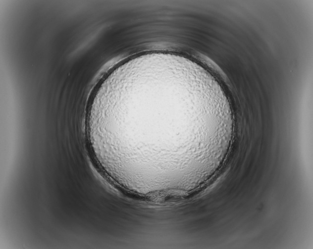 X0000083550938200703091551