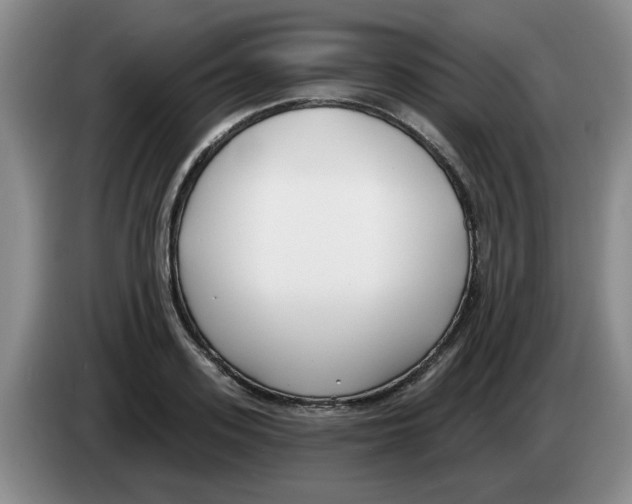 X0000083550939200703091551