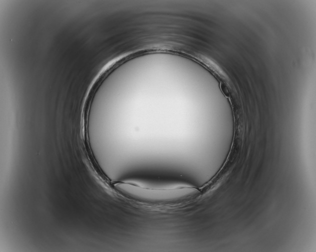 X0000083550940200703091551