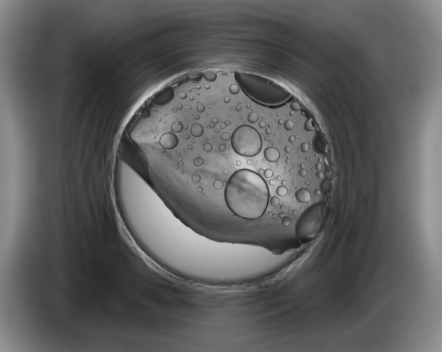 X0000083550941200703091551