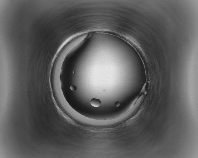 X0000083550942200703091551