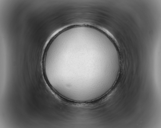 X0000083550943200703091551