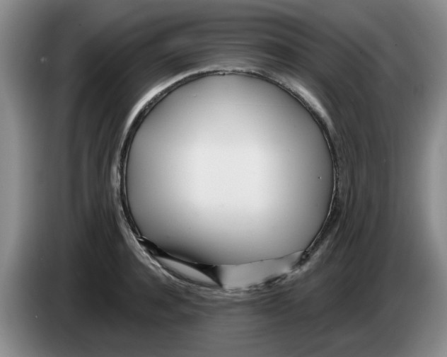 X0000083550944200703091551