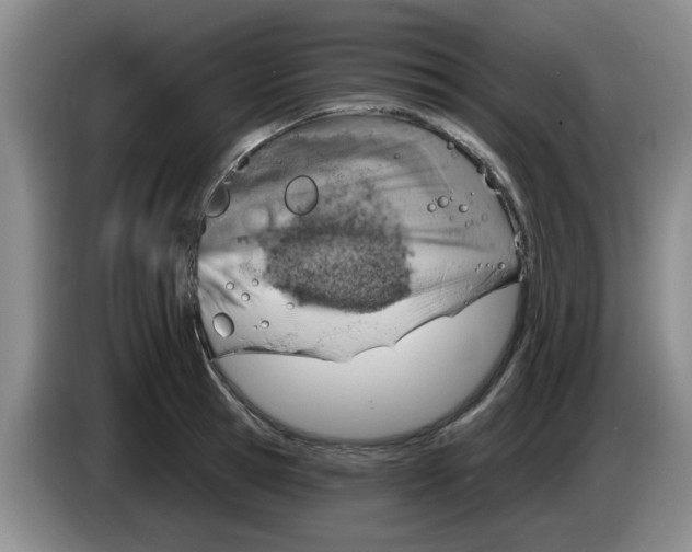 X0000083550945200703091551
